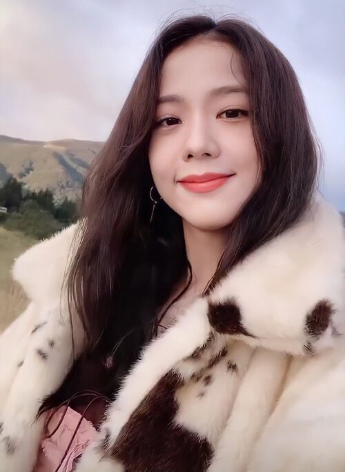 New Korean Version Women's Short Loose and Fashionable Square Neck Black and White Cow Pattern Faux Fur Mink Fur Coat